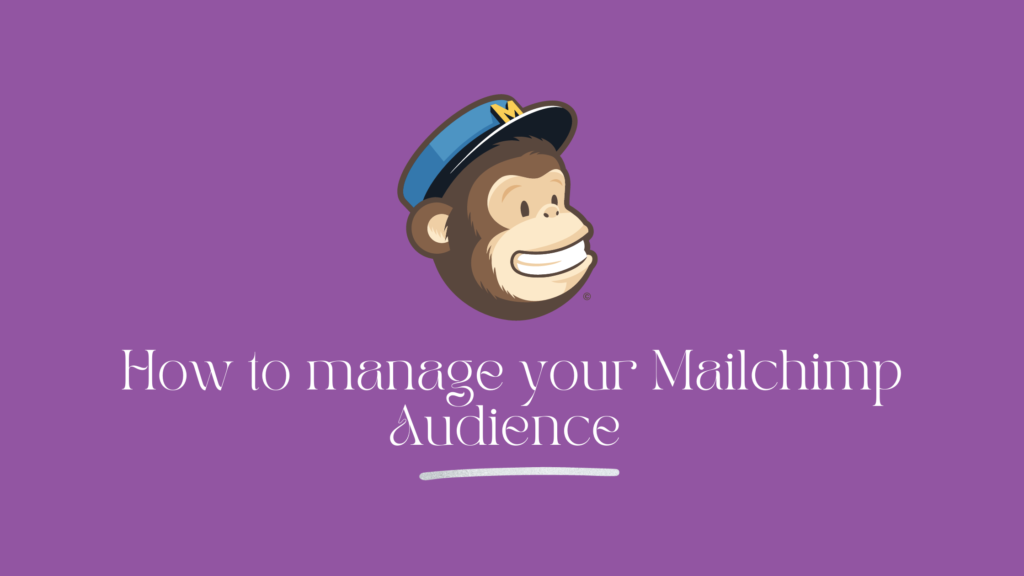 How to manage your Mailchimp Audience