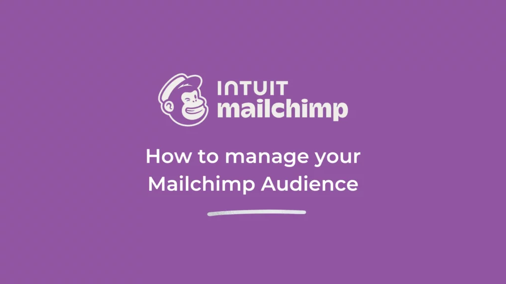Manage your mailchimp audience